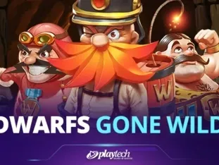 Dwarfs Gone Wild game icon